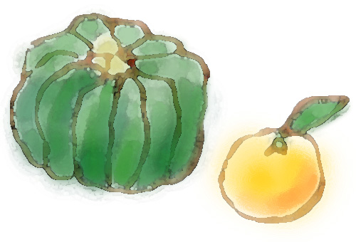 冬至フレンチディナー(むすびcaféより)